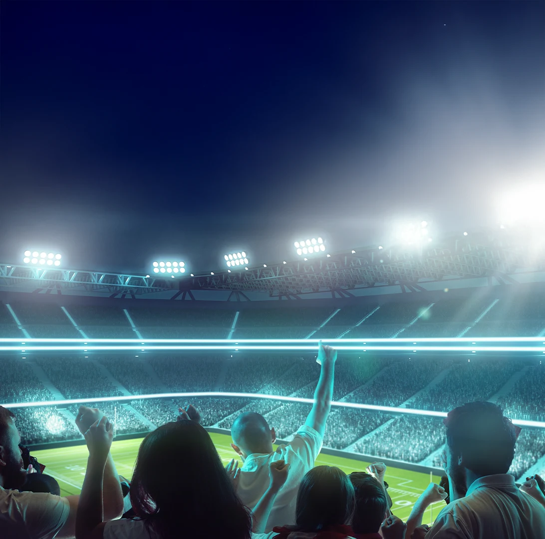 Stadium crowd at night